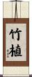 竹植 Scroll