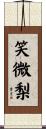 笑微梨 Scroll