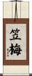 笠梅 Scroll