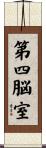第四脳室 Scroll