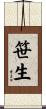 笹生 Scroll