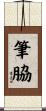 筆脇 Scroll