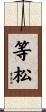 等松 Scroll