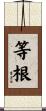 等根 Scroll