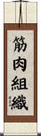 筋肉組織 Scroll
