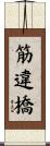 筋違橋 Scroll