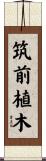 筑前植木 Scroll