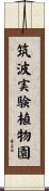 筑波実験植物園 Scroll