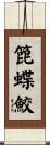 箆蝶鮫 Scroll