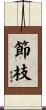 節枝 Scroll