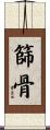 篩骨 Scroll