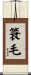 簑毛 Scroll