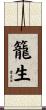 籠生 Scroll