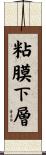 粘膜下層 Scroll