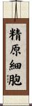 精原細胞 Scroll