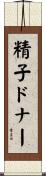 精子ドナー Scroll