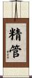 精管 Scroll