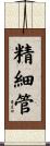 精細管 Scroll