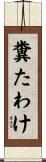 糞たわけ Scroll