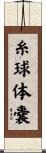 糸球体嚢 Scroll