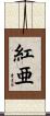 紅亜 Scroll