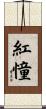 紅憧 Scroll