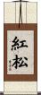 紅松 Scroll