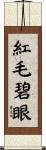 紅毛碧眼 Scroll