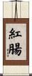 紅腸 Scroll