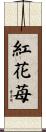 紅花苺 Scroll