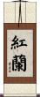紅蘭 Scroll