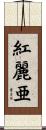 紅麗亜 Scroll