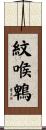 紋喉鵯 Scroll