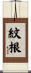 紋根 Scroll