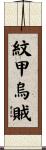 紋甲烏賊 Scroll