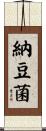 納豆菌 Scroll