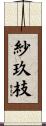 紗玖枝 Scroll