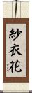 紗衣花 Scroll