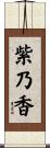 紫乃香 Scroll