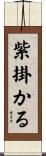 紫掛かる Scroll