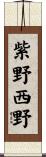 紫野西野 Scroll