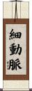 細動脈 Scroll