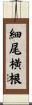細尾横根 Scroll