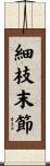 細枝末節 Scroll
