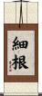 細根 Scroll