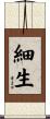 細生 Scroll