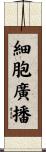 細胞廣播 Scroll