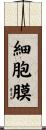 細胞膜 Scroll