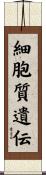 細胞質遺伝 Scroll