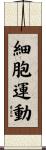 細胞運動 Scroll
